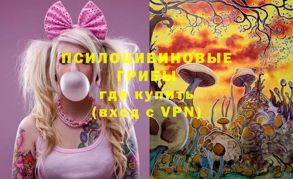 тгк Балахна