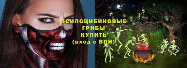 тгк Балахна