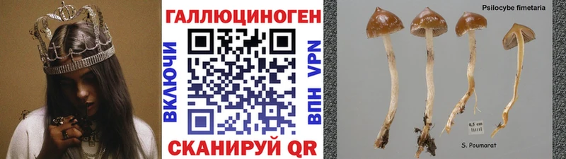 Псилоцибиновые грибы MAGIC MUSHROOMS  Урай 